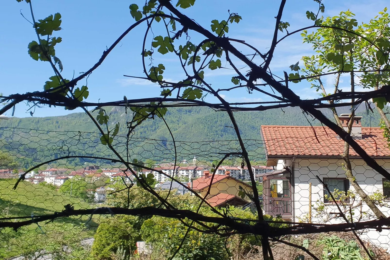 Bright and Sunny Apartment with Terrace - Two Bedroom Apartment with Terrace-Outdoor