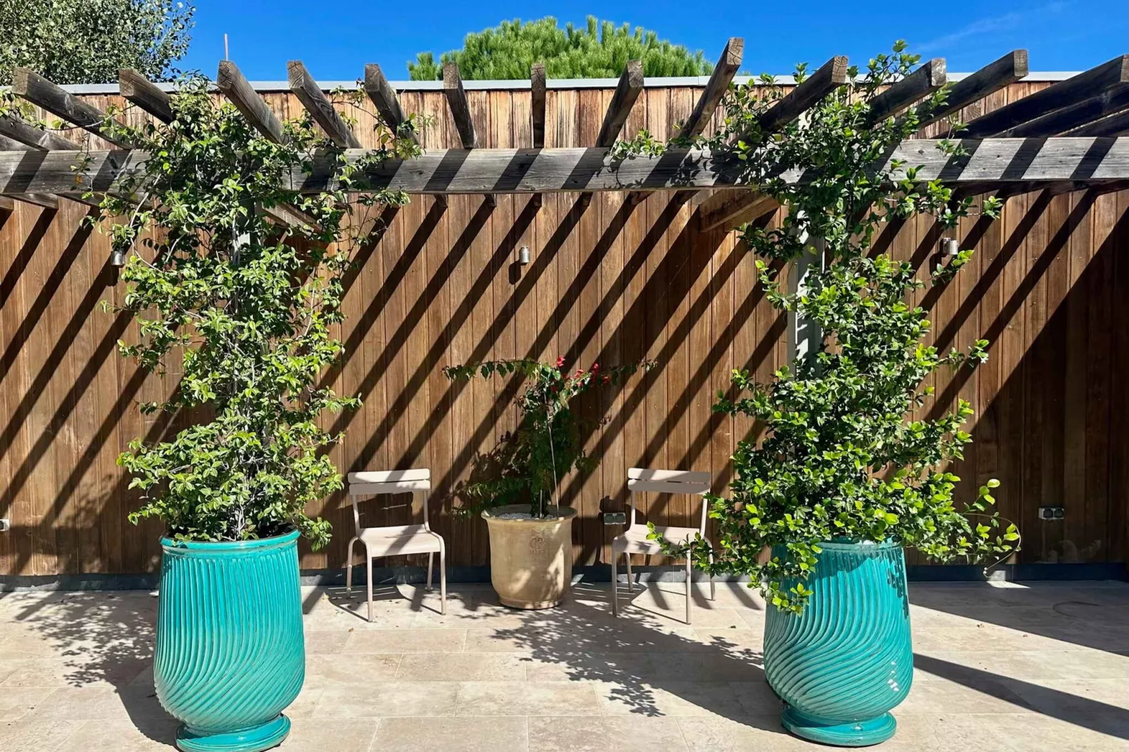 L' Olivette-Terrasse/Balkon