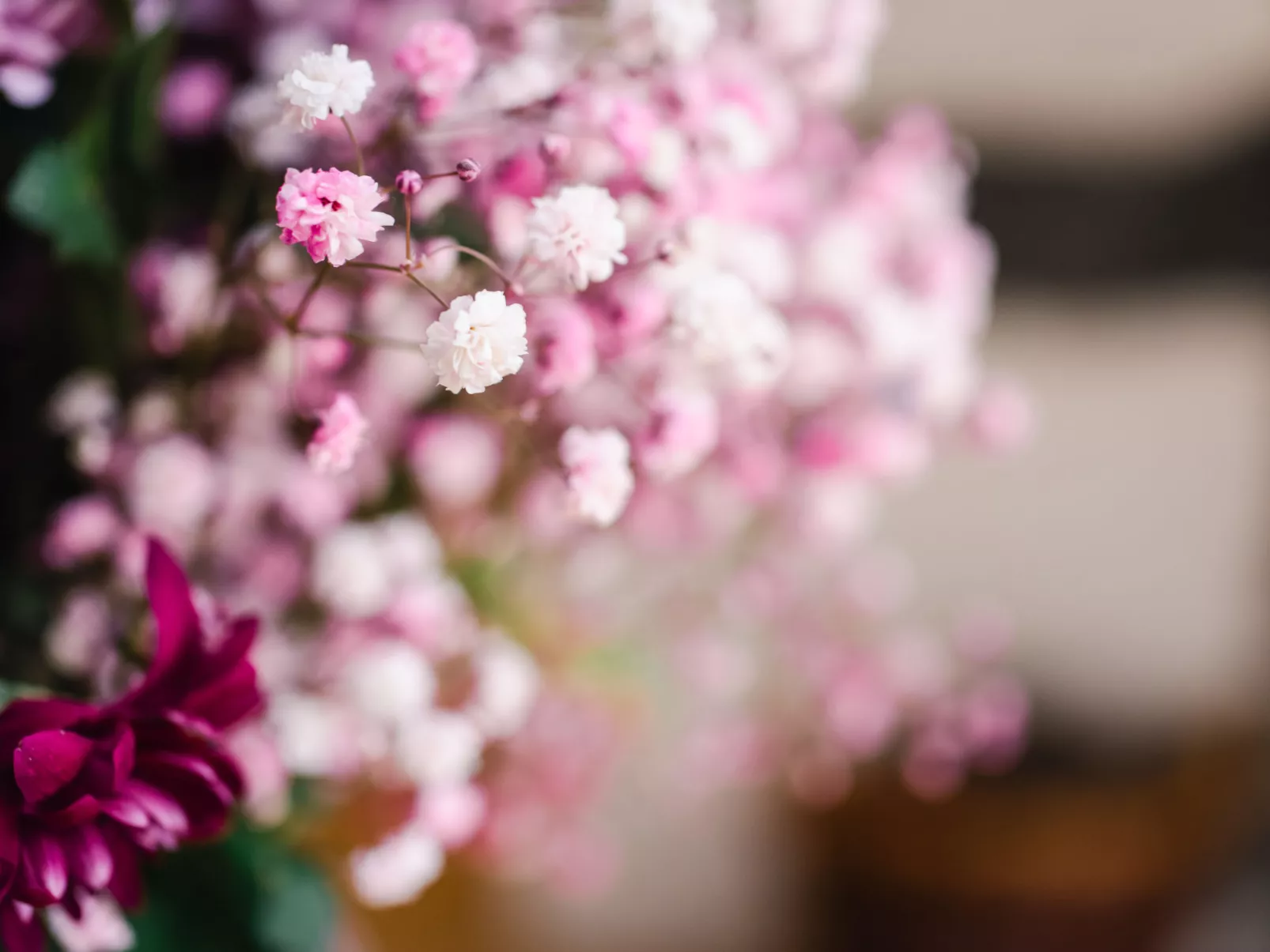 Corrimony View-Dedans