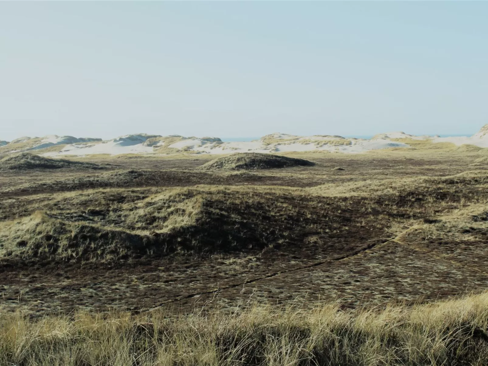 "Swanja" -  from the sea-Outside