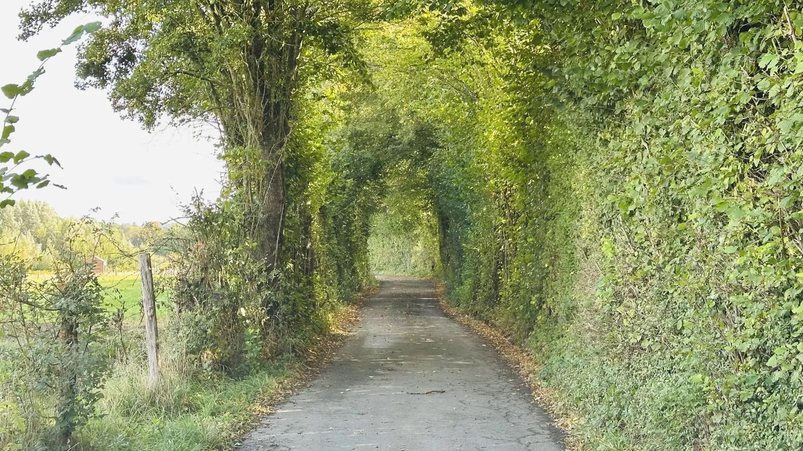 Loheré-Areas within 5km in summer