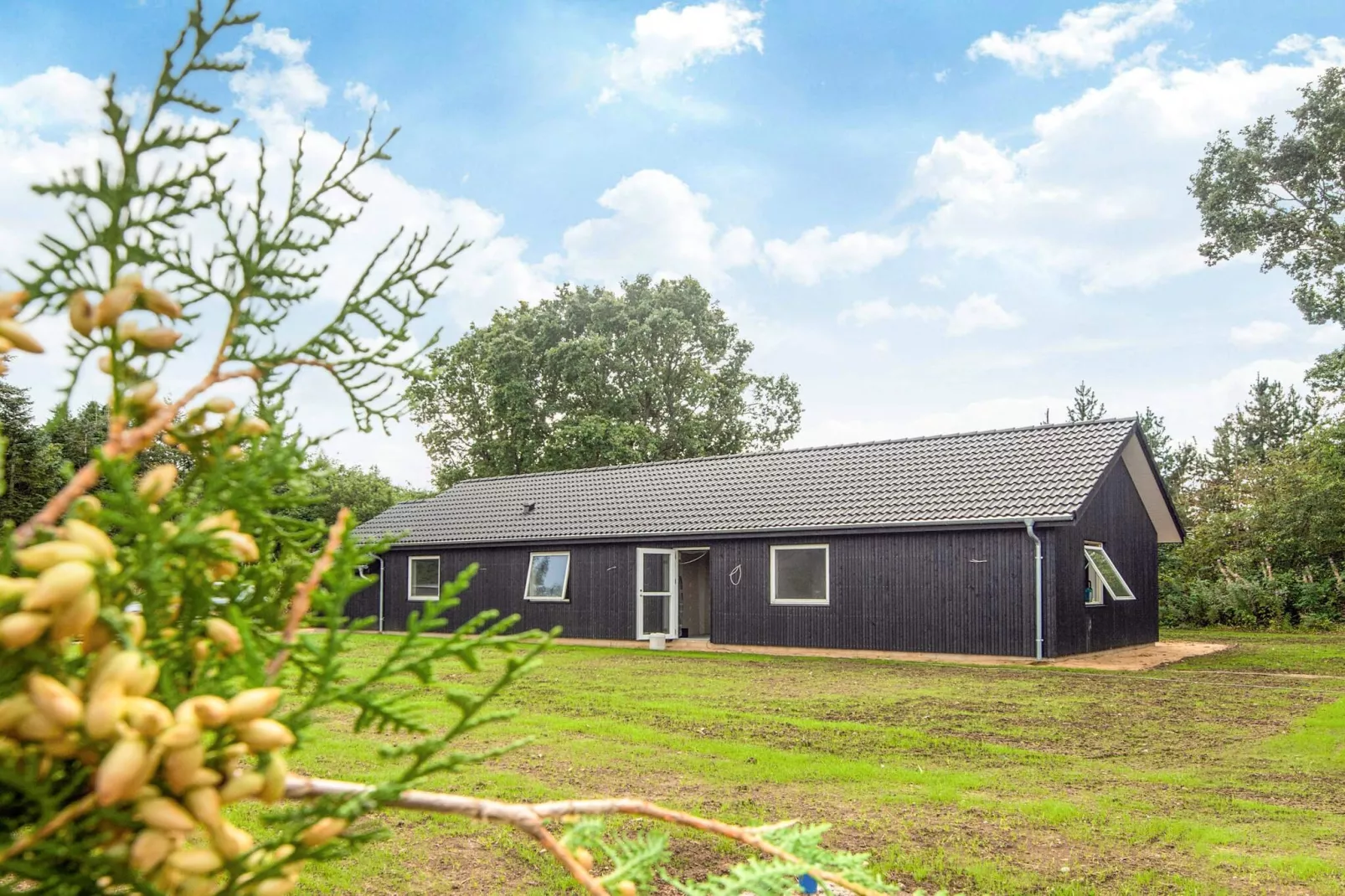 5 star holiday home in Ansager-View