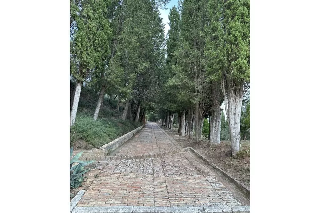 539347-Nicht zugeordnet