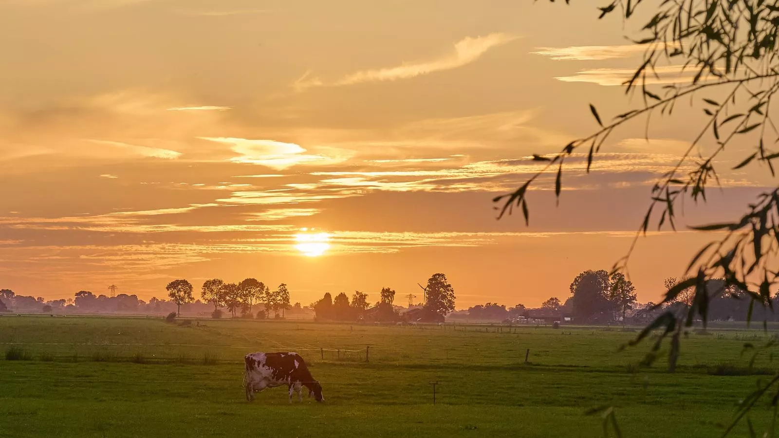 Alpa Casa-Zones été à 1 km