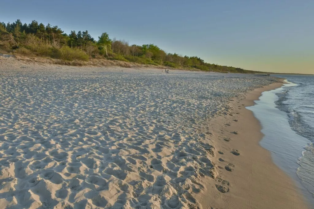 241695-Nicht zugeordnet