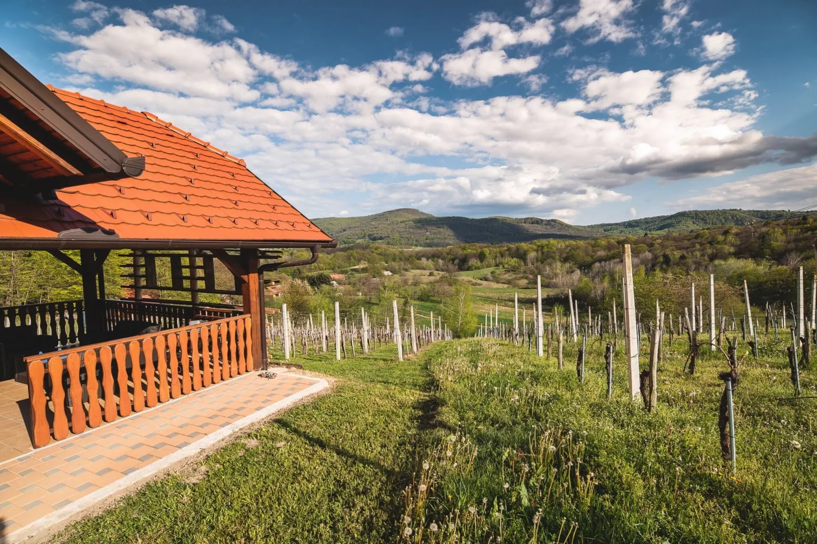 Golden Horizon Holiday Home with Terrace and Garden - One Bedroom Holiday Home with Terrace and Garden-Extérieur