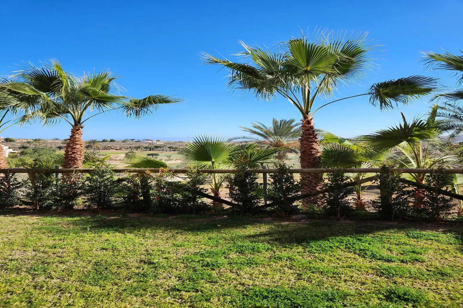 CT 347 AL - Faro's Gardenapartment - Valle del Este-Jardins en été