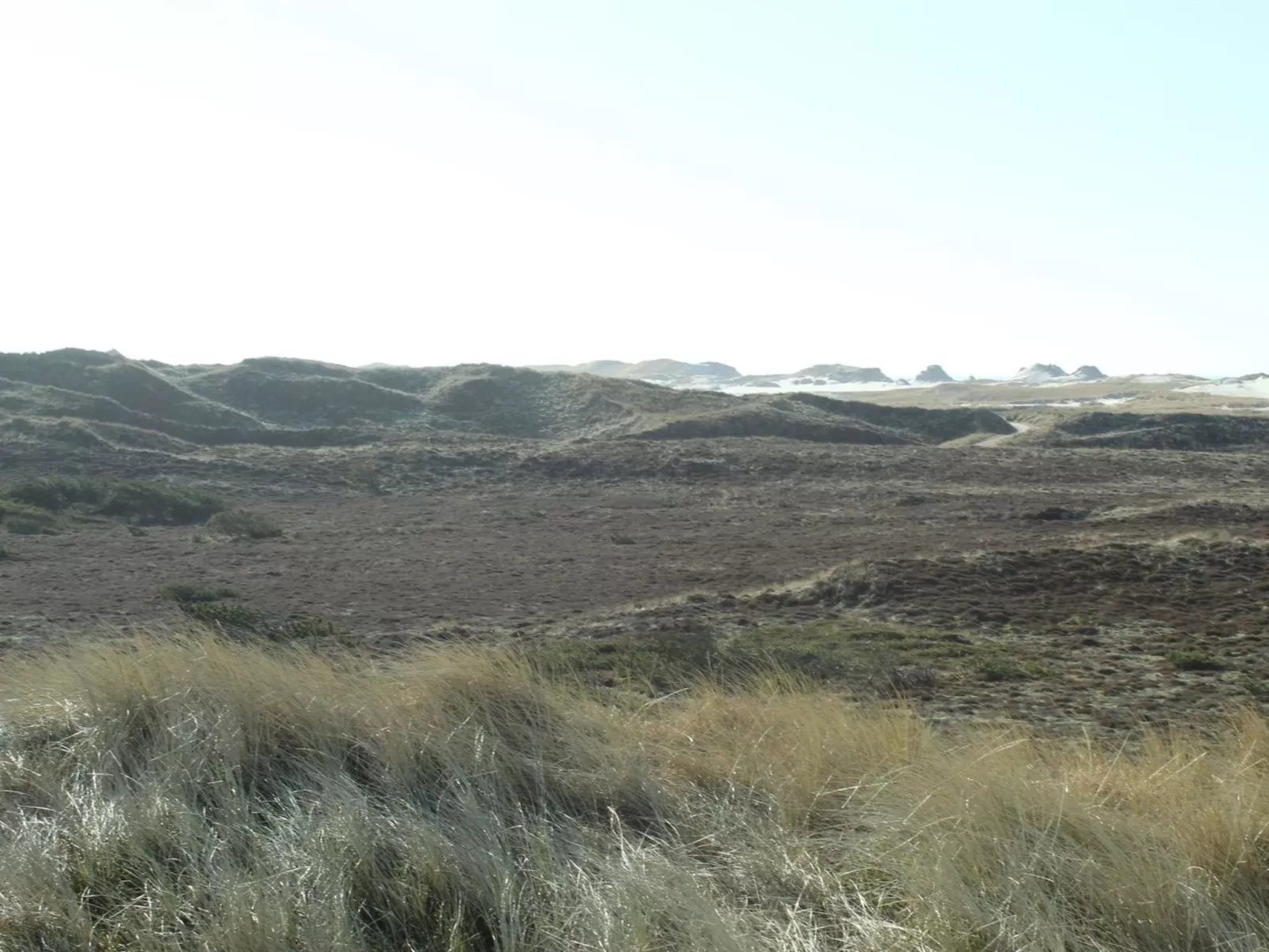 "Swanja" -  from the sea-Outside