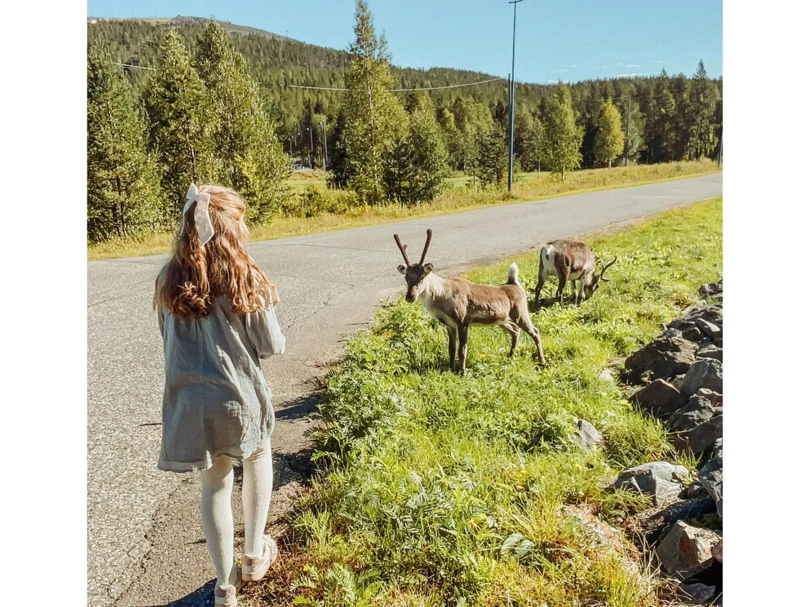 Willa levi west b-Dedans