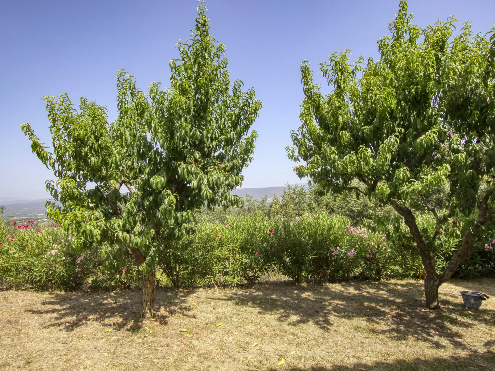 La Campagne-Outside