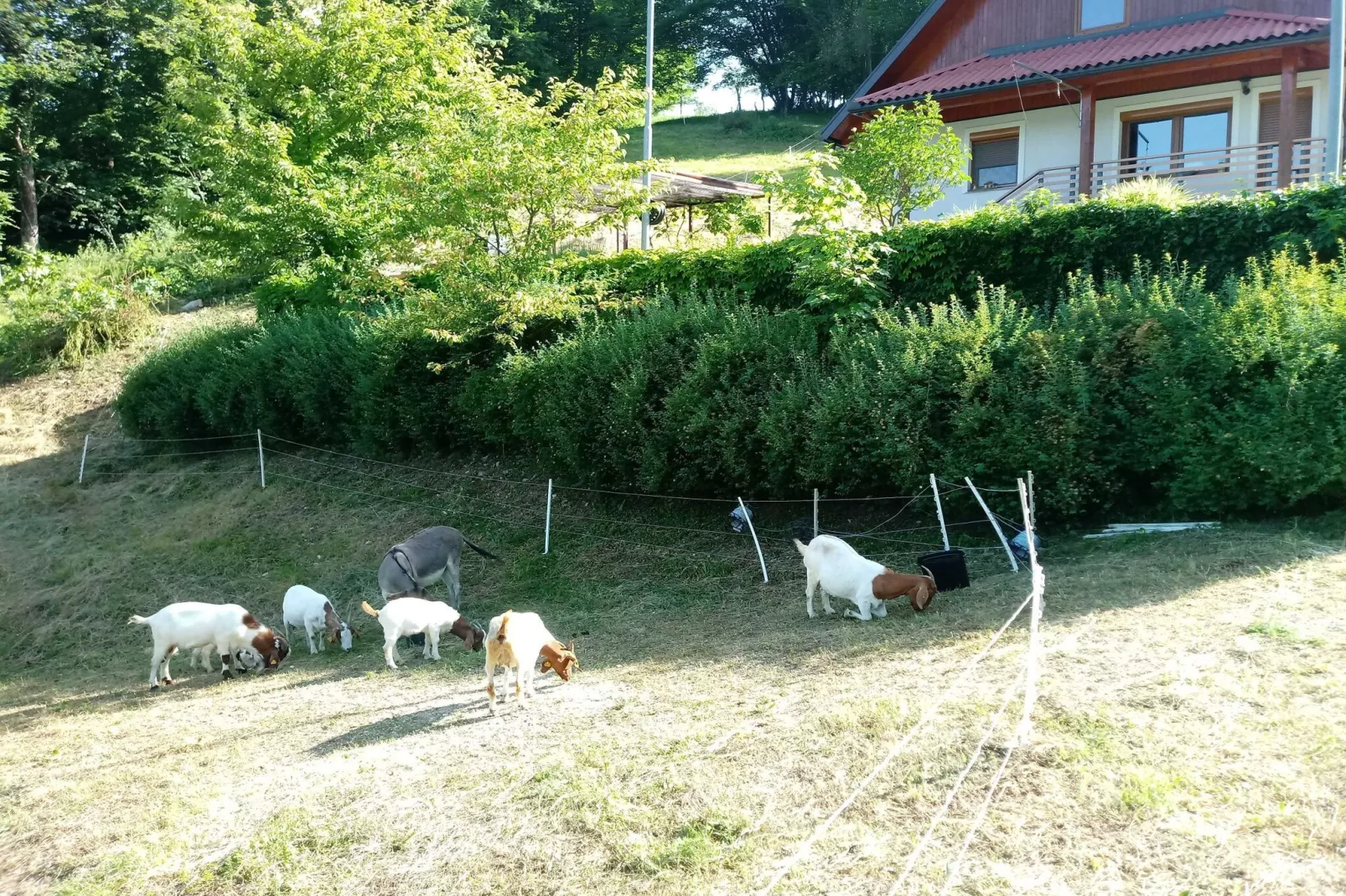 Holiday Home Slap with Sauna and BBQ - Two Bedroom Holiday Home-Outdoor