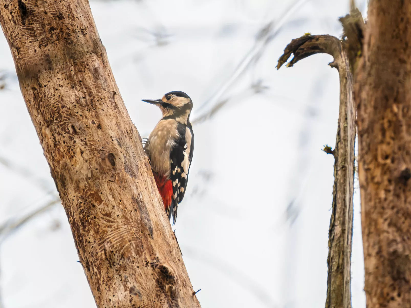 Wester Bunloit-Environnement