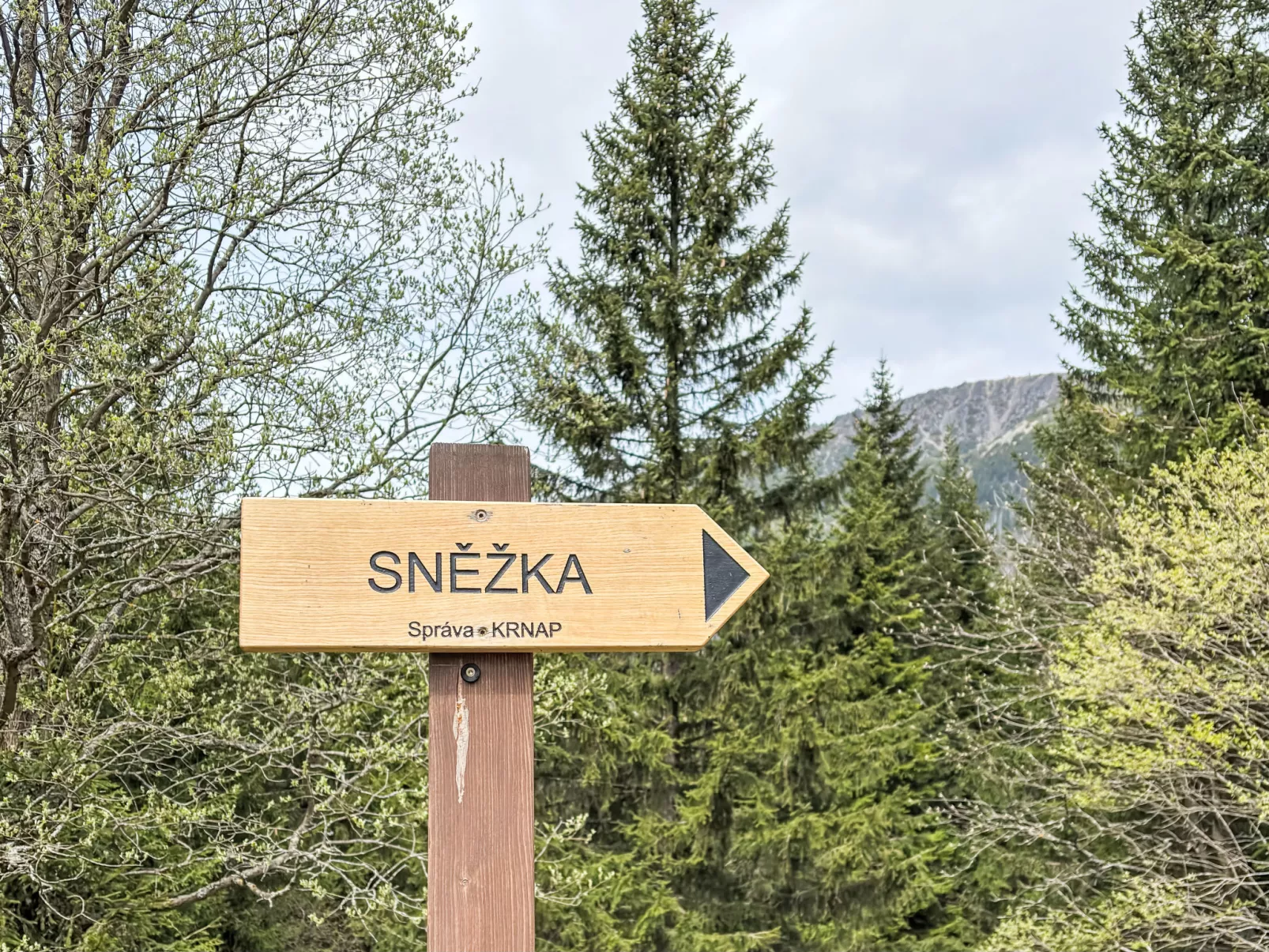 Na Kovárně-Umgebung