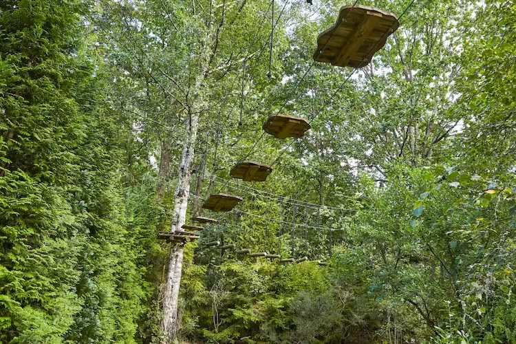 Dom wakacyjny w Sasinie dla max 10 osób-Jardins en été