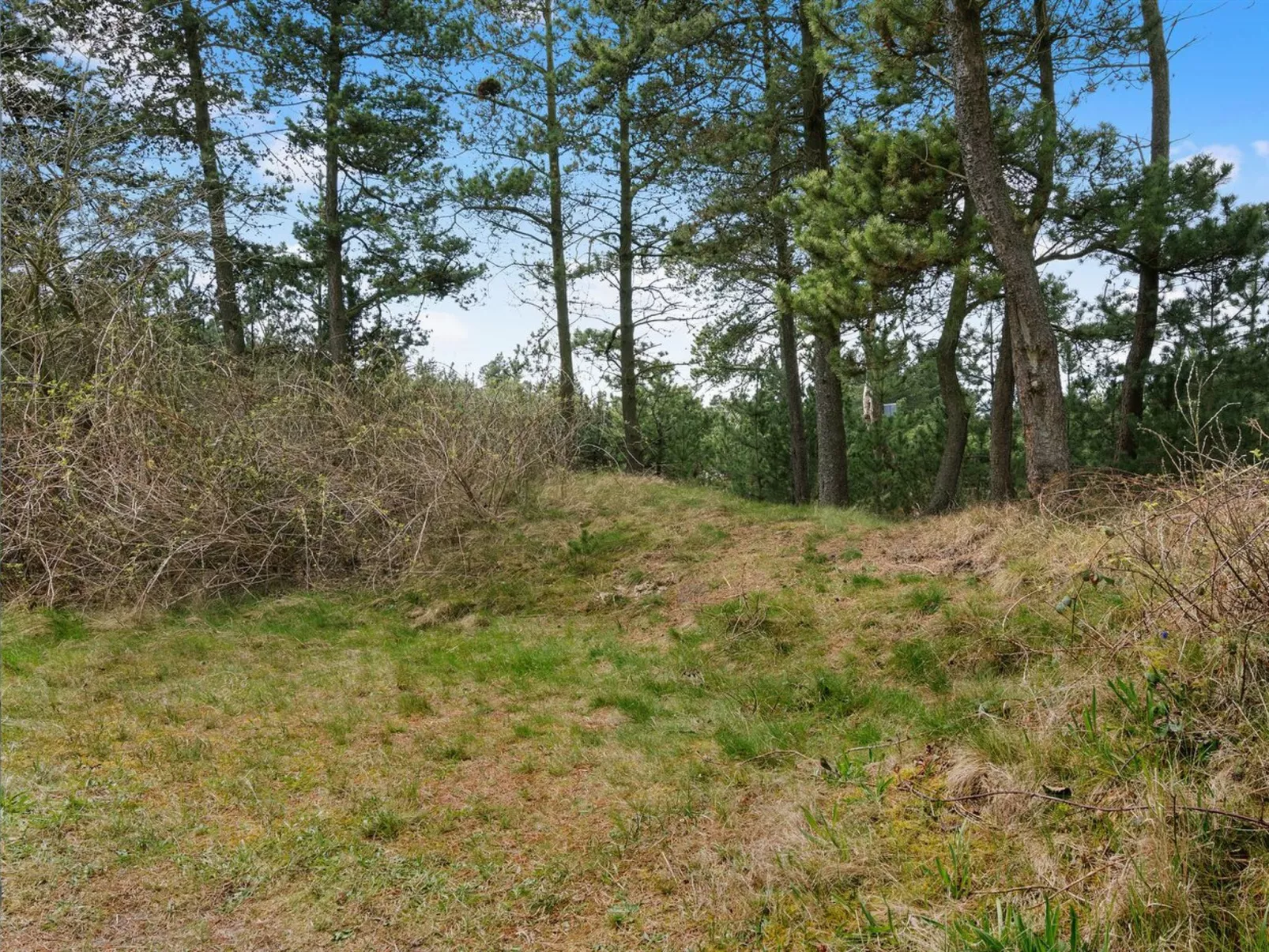 "Nael" - 1.6km from the sea-Draußen