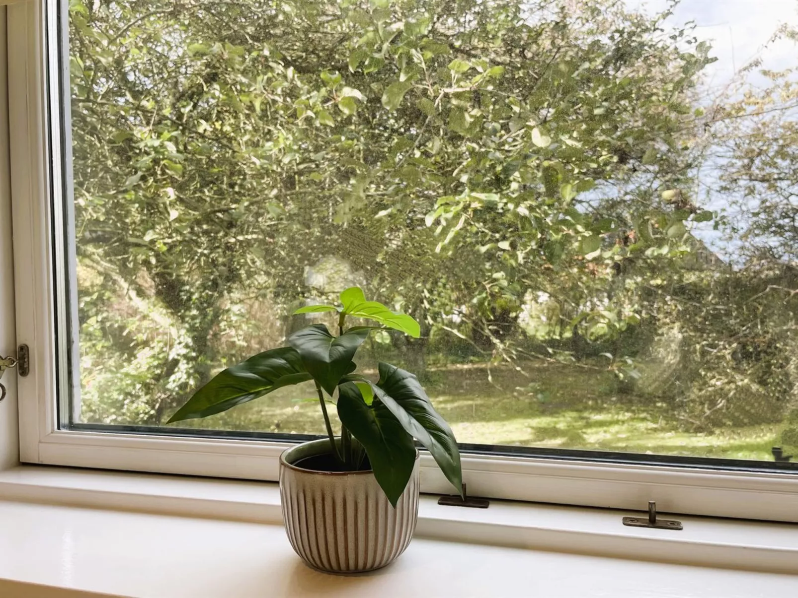 "Dana" - 525m from the sea-Dehors