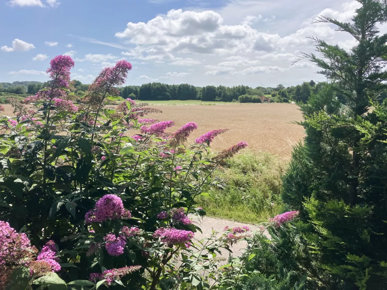 "Thessa" - 4km from the sea-Dehors