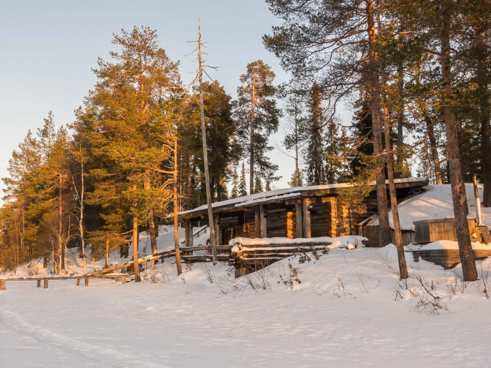 Metsä-luosto-Drinnen
