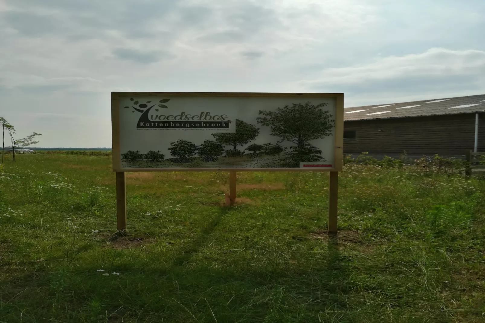 Het Boshuis-Gardens in summer