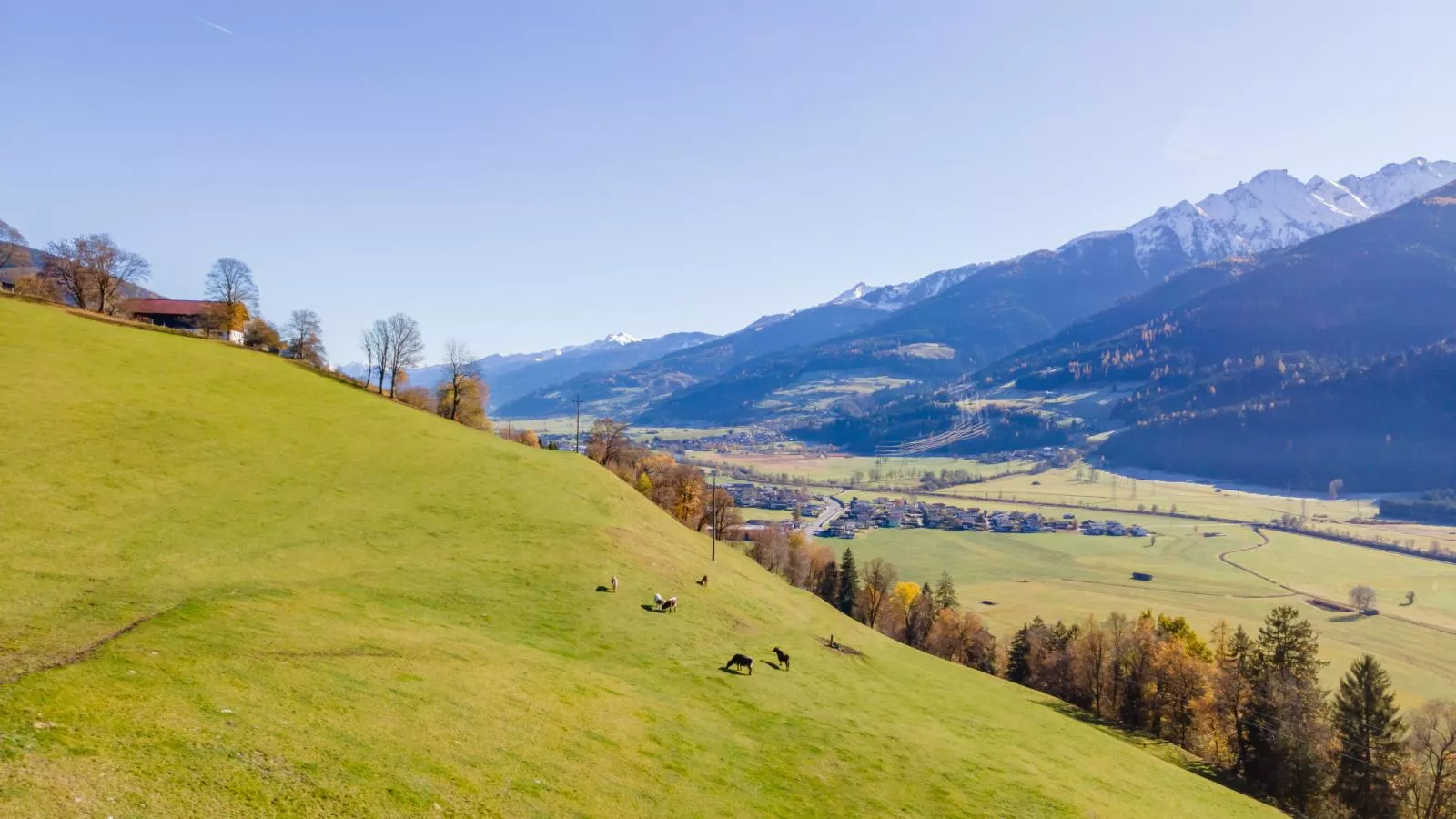 Grünbichel Hof I-Areas within 1km in summer