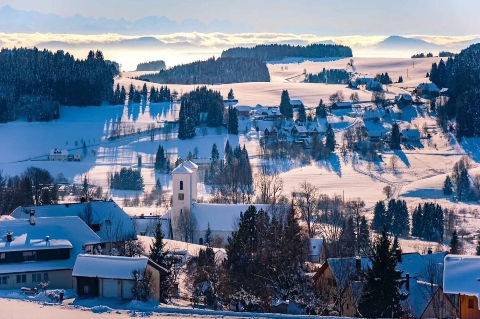 Ferienwohnung Herrischried an der Skipiste-Area within 1km in winter