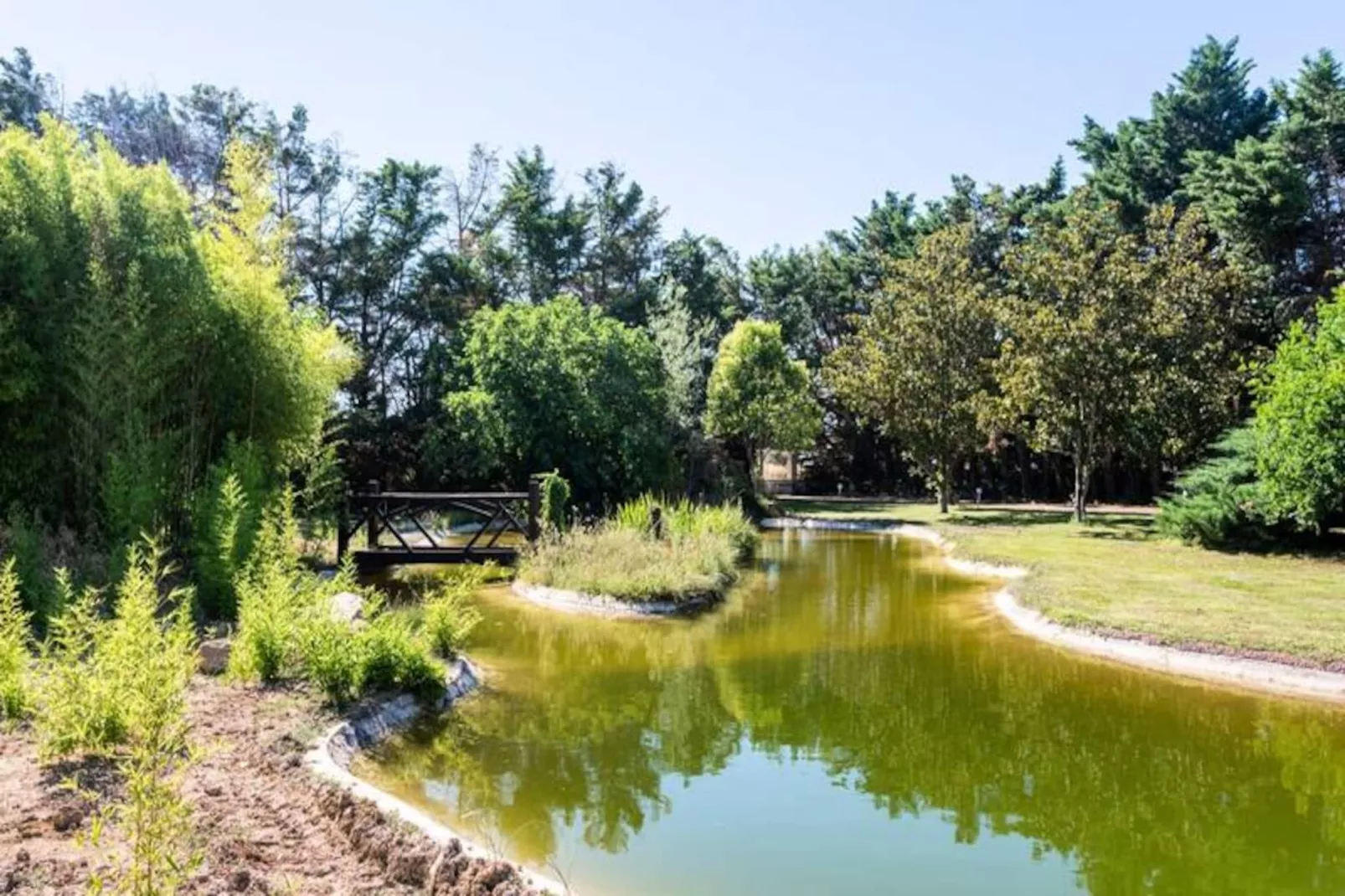 Superbe Mas Proven&ccedil;al - Piscine - Tennis - Parc-Untagged