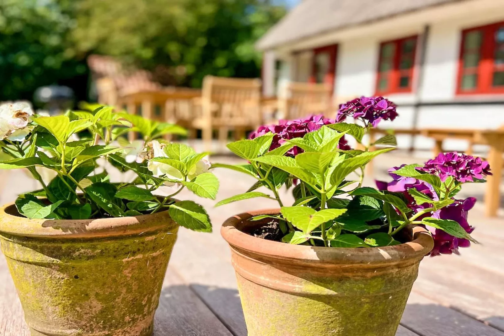 Family cottage for eight guests - View