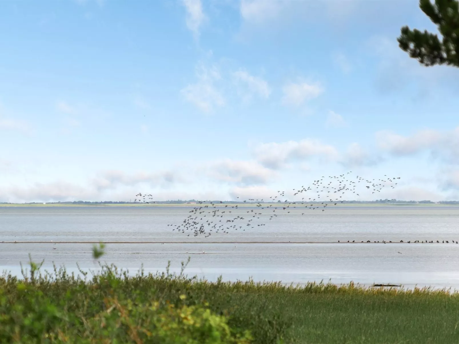 "Toralf" - 3.5km from the sea-Draußen