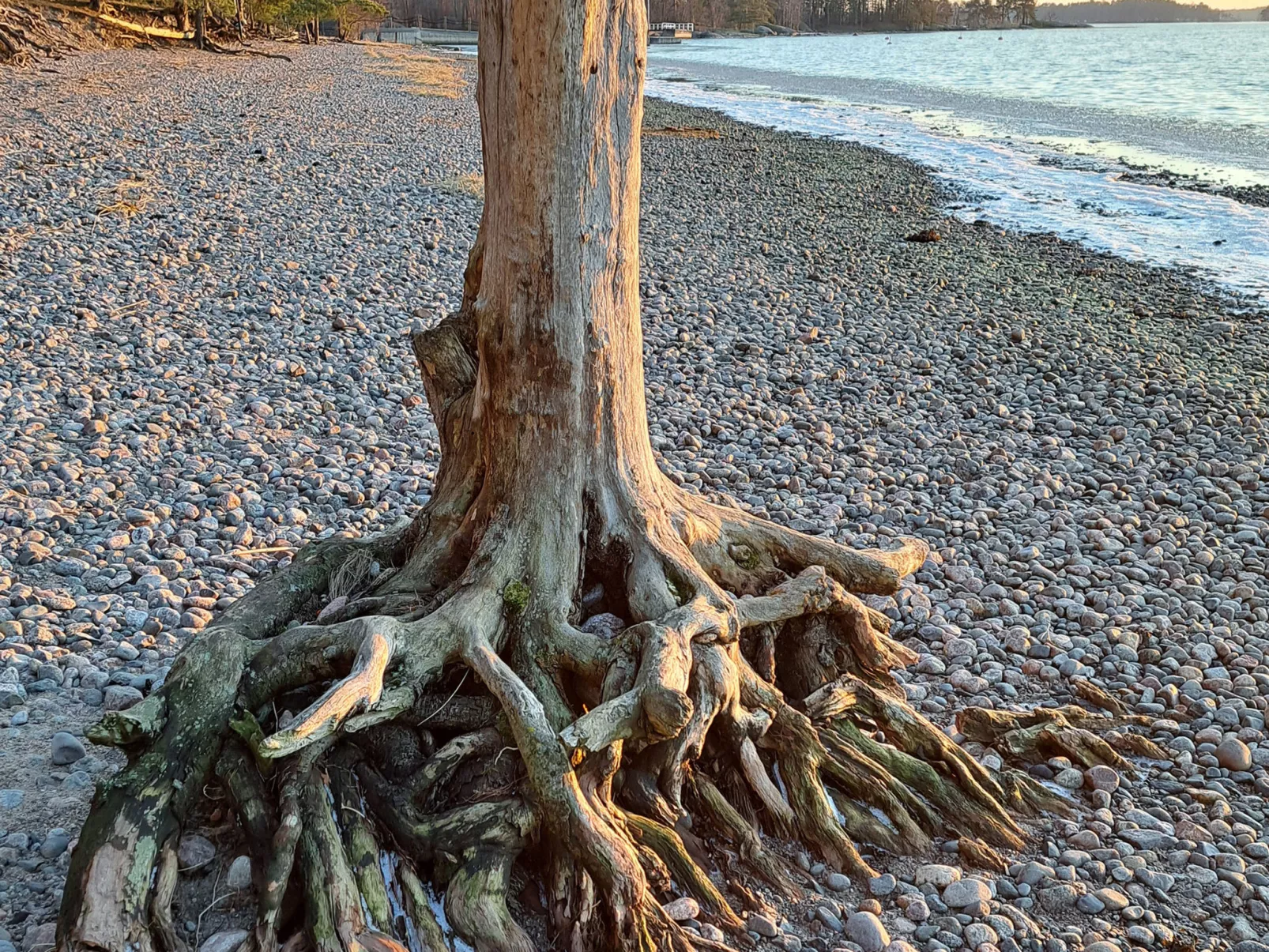 Villa kallahti beach view helsinki-Dedans