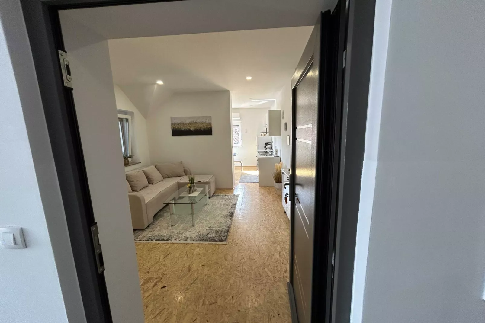 City Modern and Vibrant Apartments Ljubljana - Standard One Bedroom Apartment (owner A3)-Innenbereich