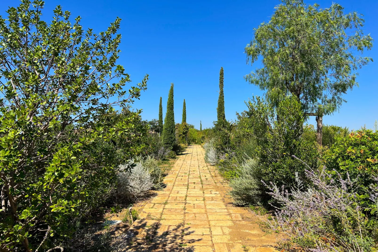 Maniero in Maremma-Zones été à 1 km