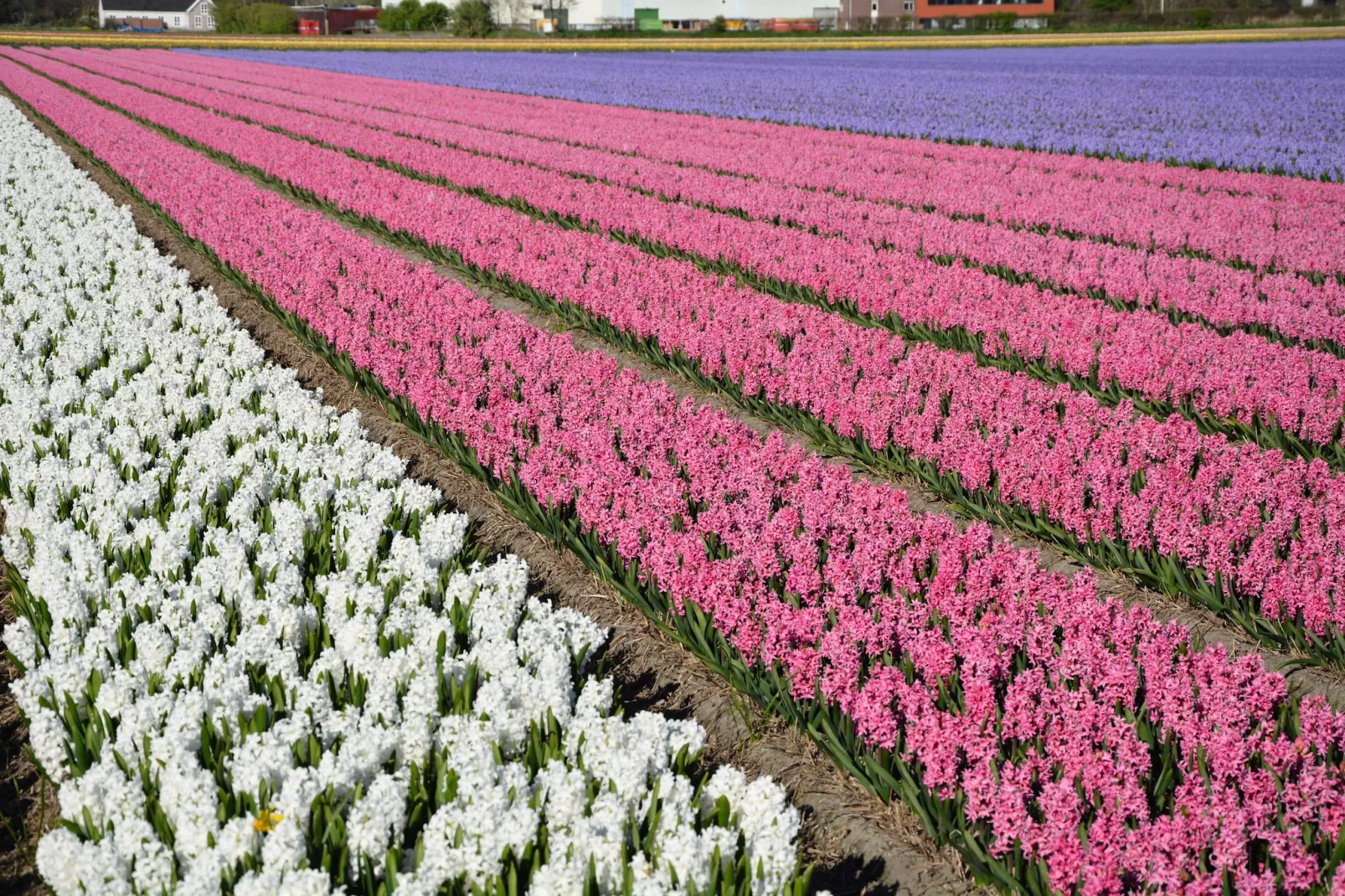 Casa Divera-Areas within 5km in summer