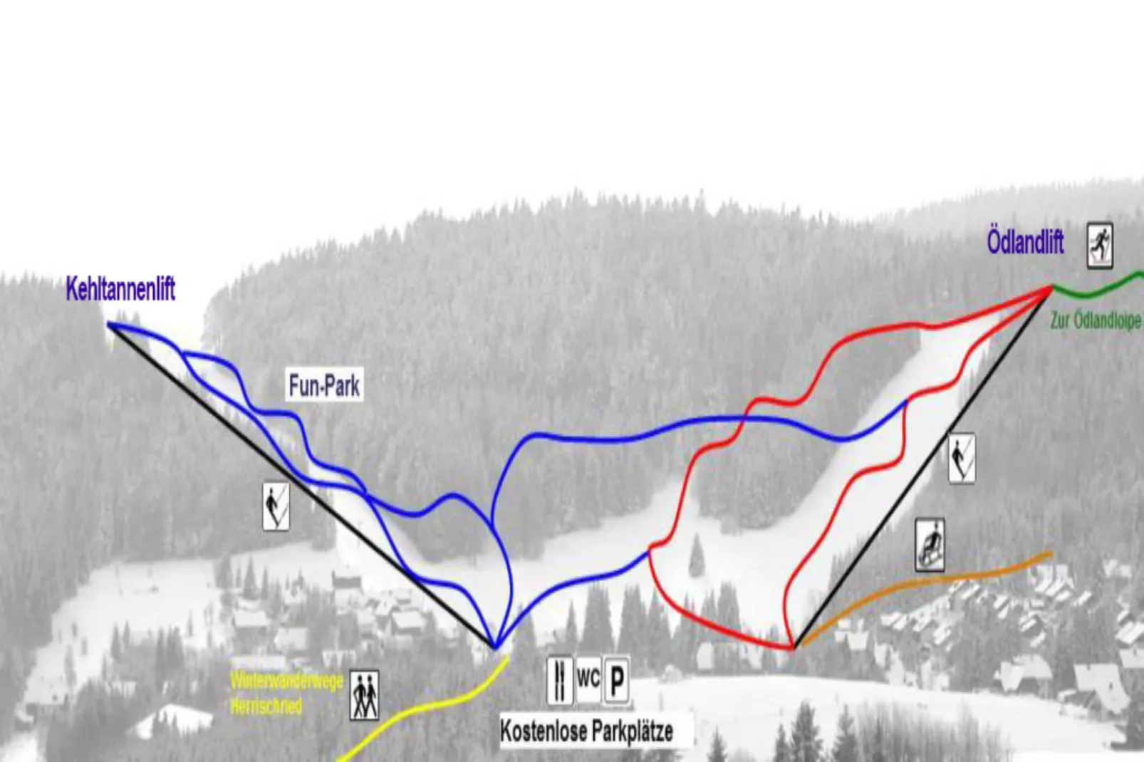 Ferienwohnung Herrischried an der Skipiste-Area within 1km in winter