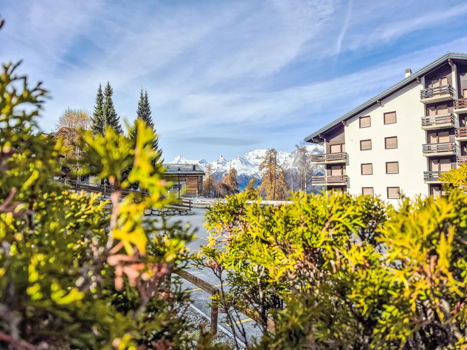 Ambassador 2/1-Outside