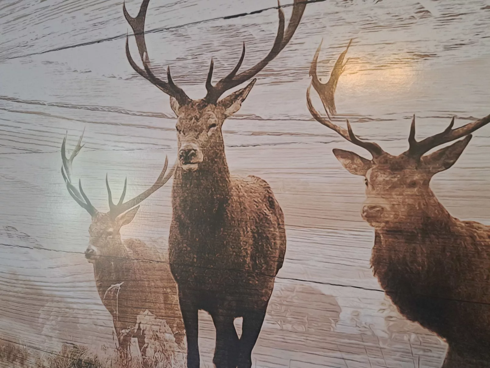 Appartement 2-Drinnen