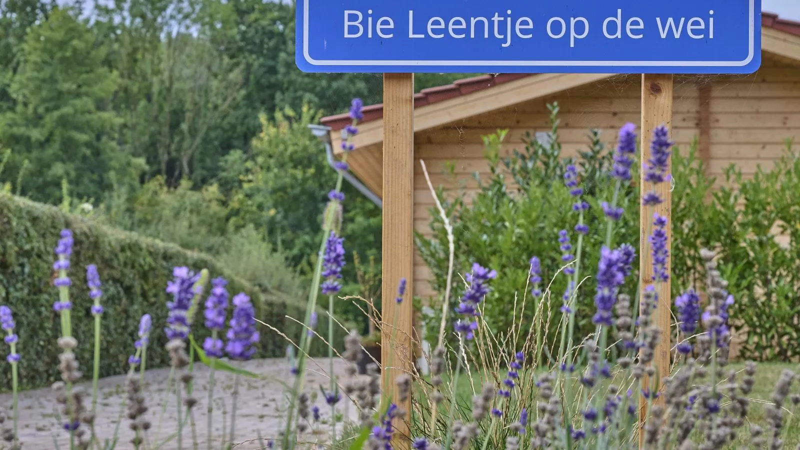 Bie Leentje op de Wei-Ambiance