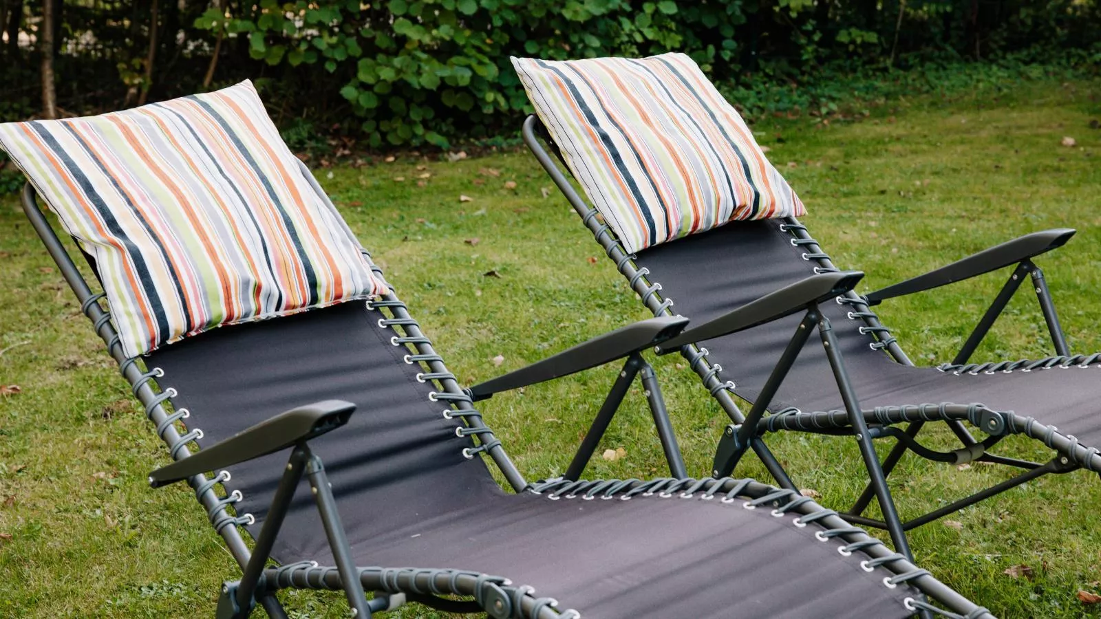 Friedensthal-Jardins en été