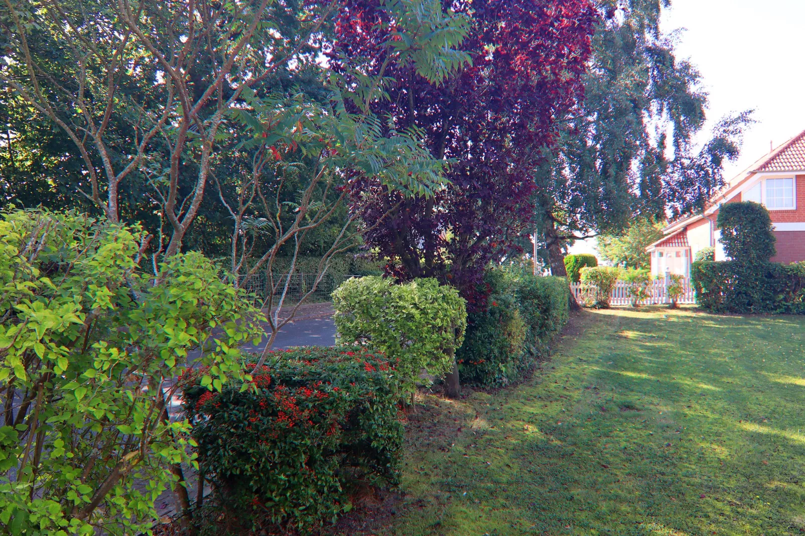 Ferienhaus Rebhuhnweg-Jardins en été