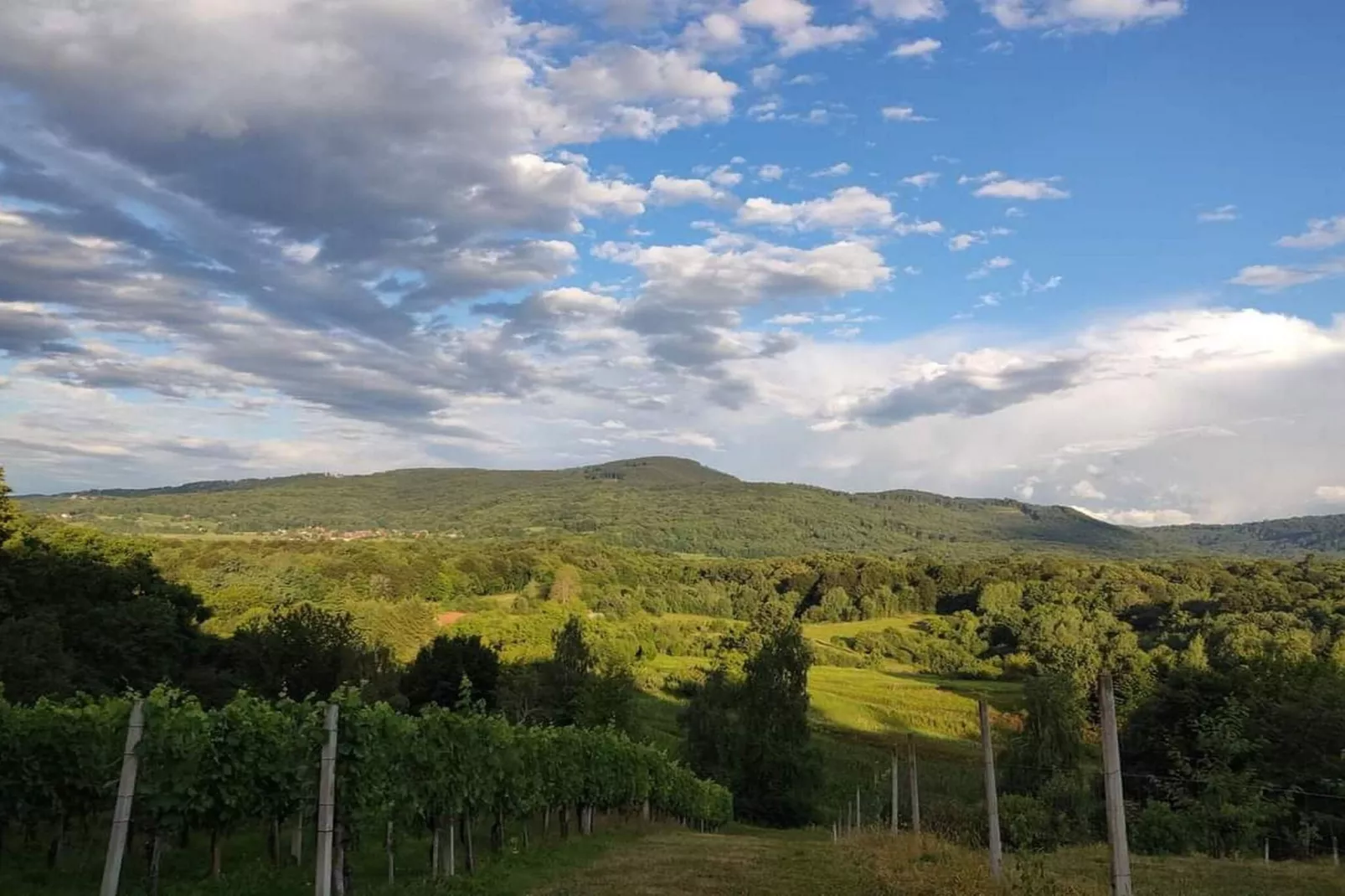 Golden Horizon Holiday Home with Terrace and Garden - One Bedroom Holiday Home with Terrace and Garden-Vue