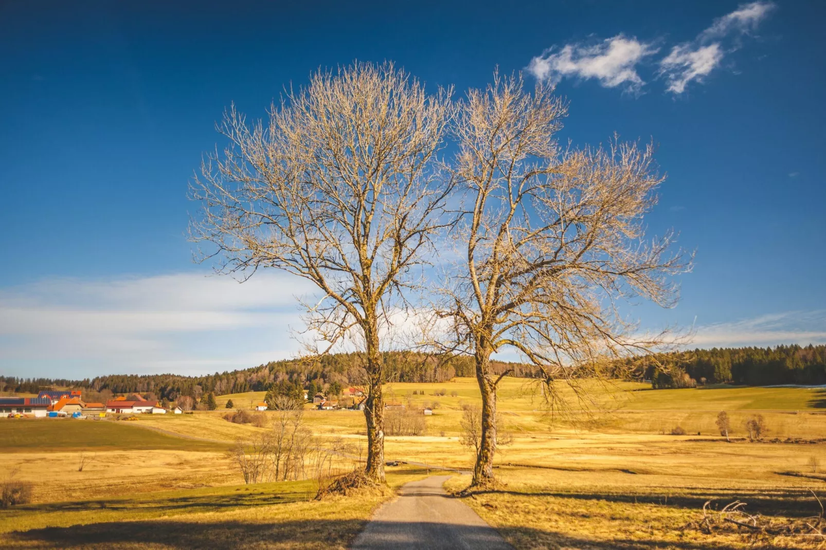 Ferienwohnung Herrischried an der Skipiste-Areas within 5km in summer