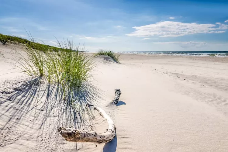 Dom wakacyjny w Sasinie dla max 10 osób-Zones été à 5 km