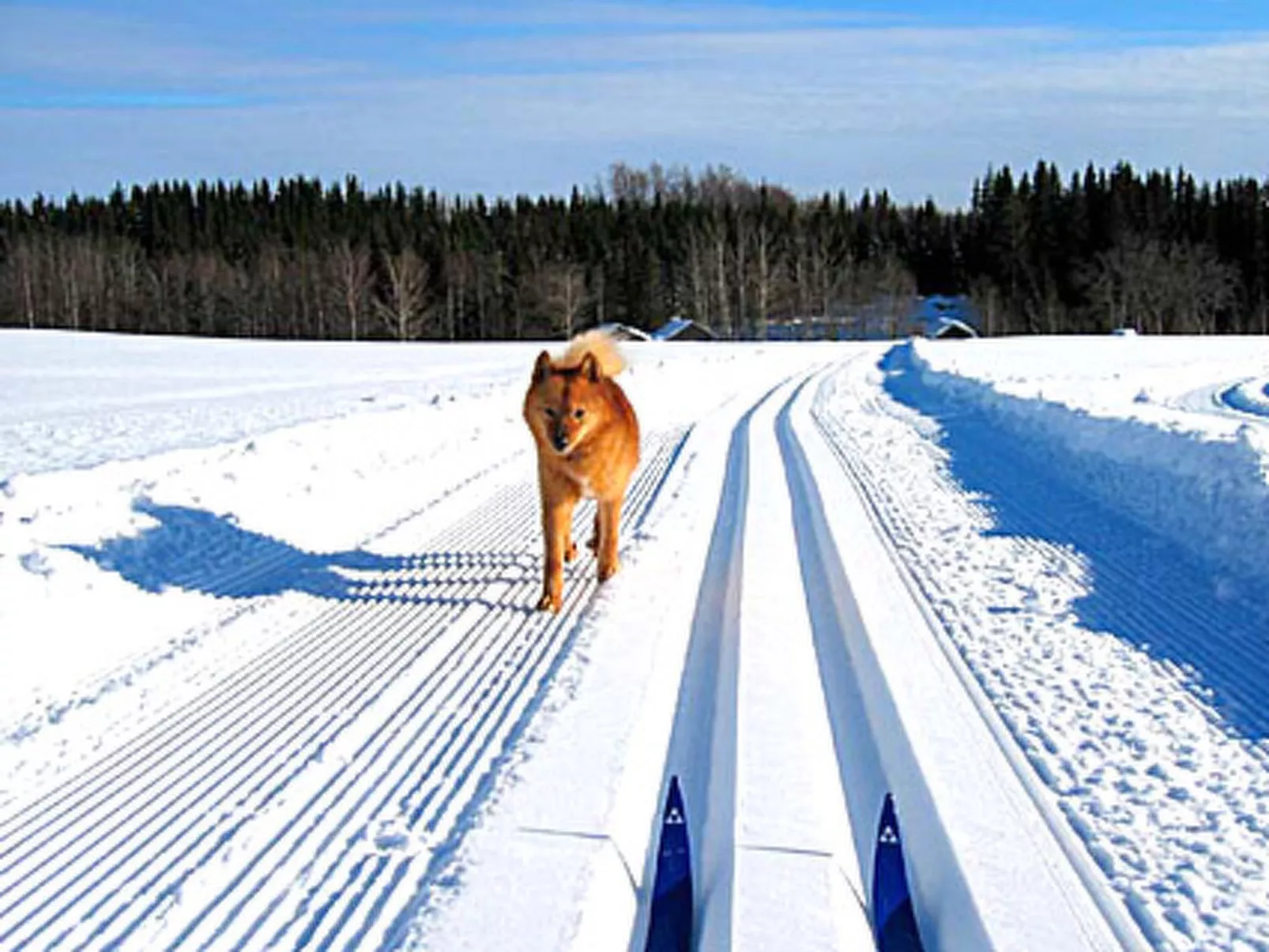 Vaaran loma-asunto-Dedans