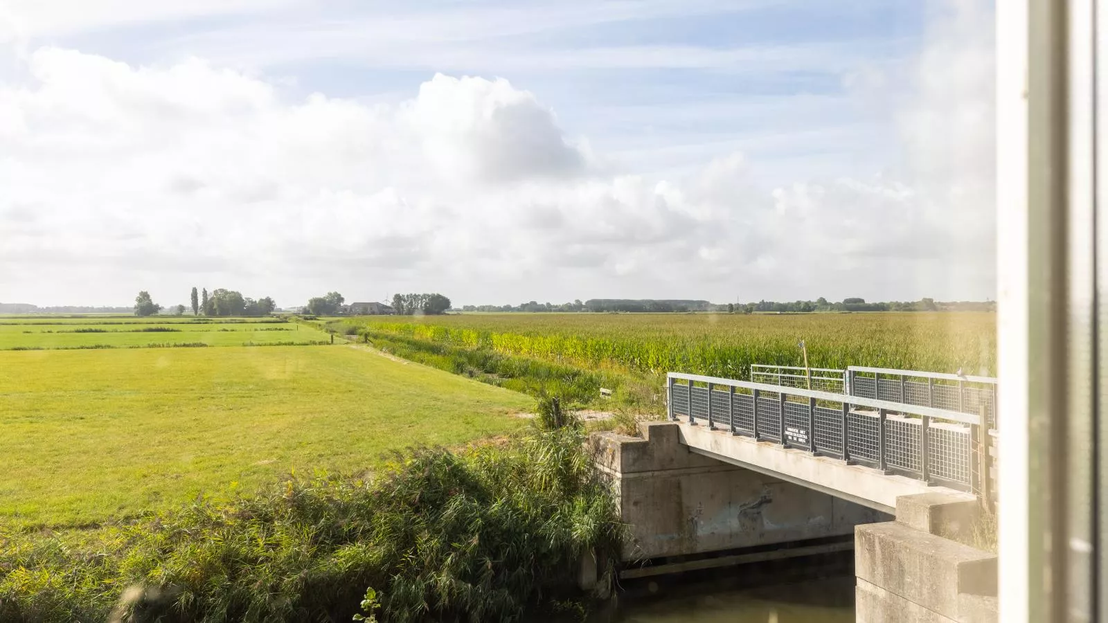 Groep in Friesland-View in summer