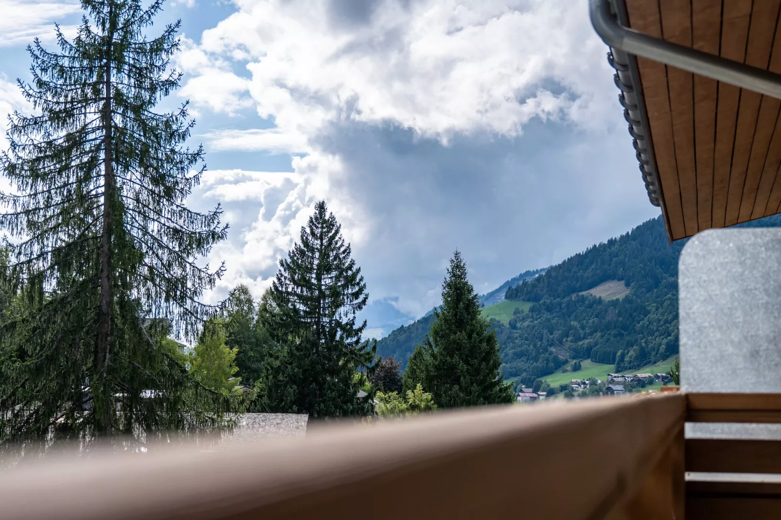 AS-96-FAUCIGNY-Non tagué