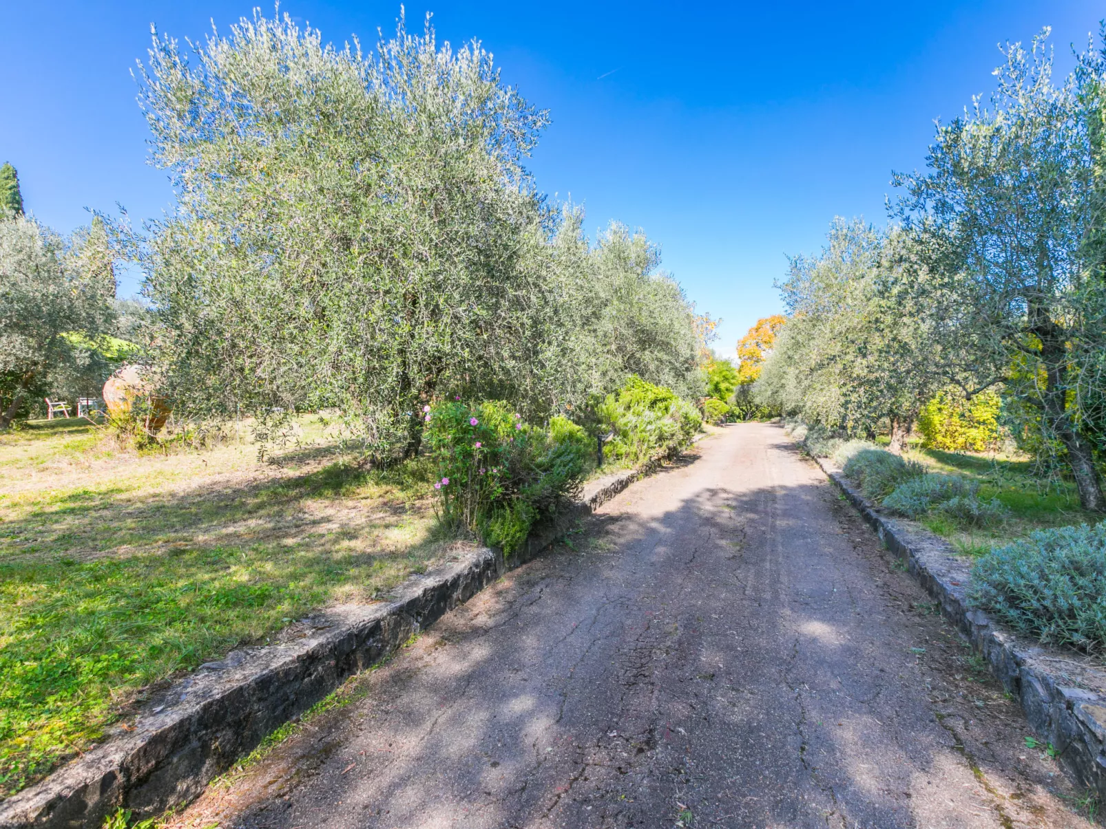 Al Canaiolo-Draußen