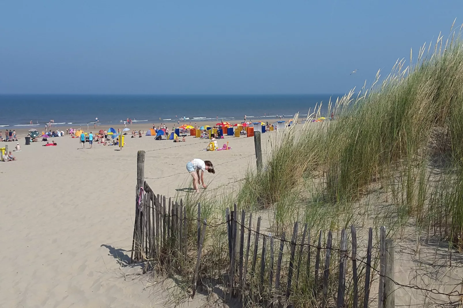 Casa Divera-Areas within 5km in summer