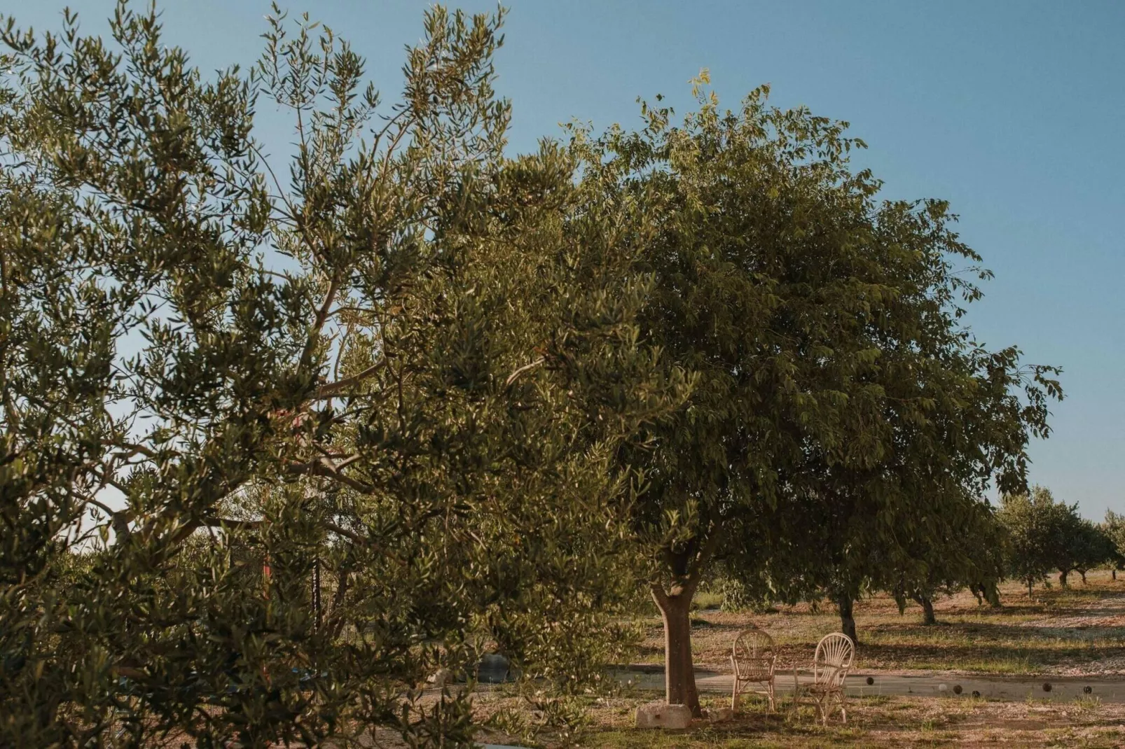 Authentic Villa Storia-Zones été à 20 km