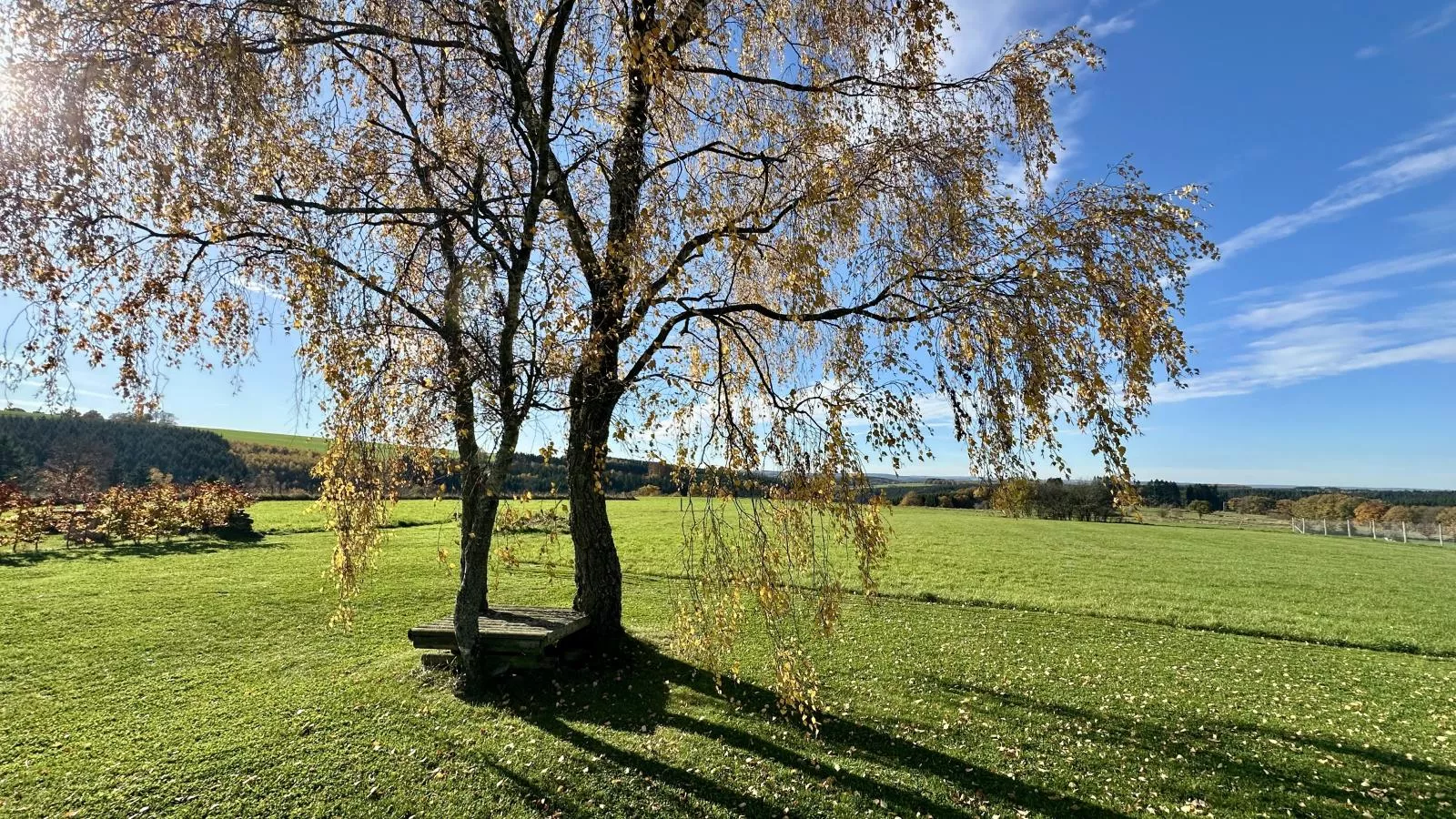 Petit Wilogne-Garten Sommer