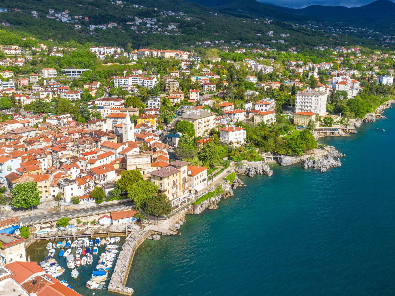 Sirotnjak 1-Environnement