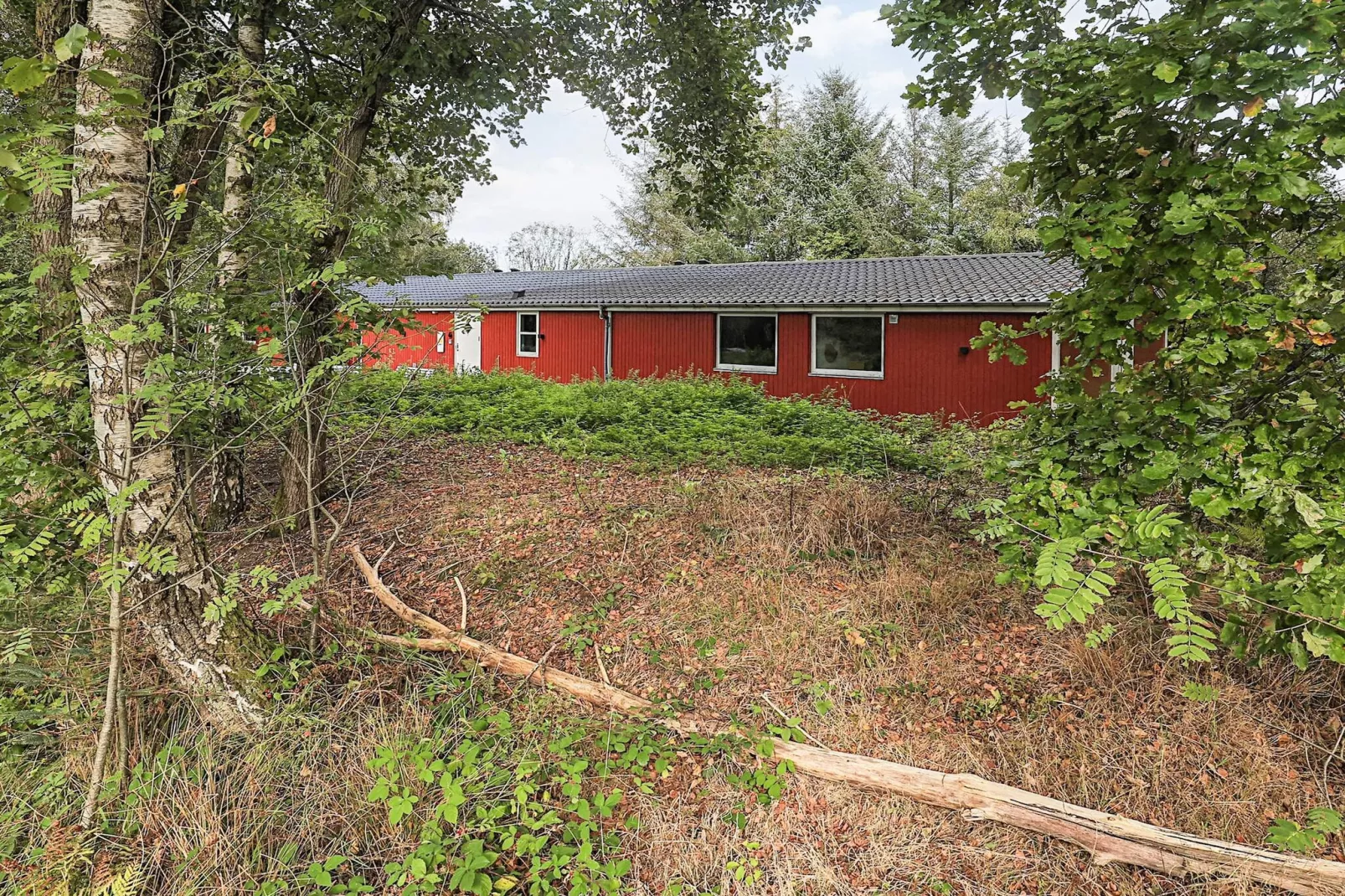 Geraumiges Refugium am Limfjorden -- By Traum Ferienwohnungen-Aussicht